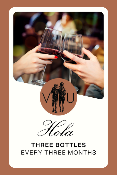 Hola Wine Club Membership - 3 Bottles Every 3 Months